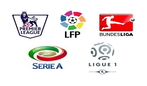 或缺的一员 或缺的一员